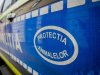 Amenzi pentru cai crescuți �n condiții grele